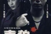 孙红雷毒狼在线观看,惊悚悬疑，演技巅峰之作