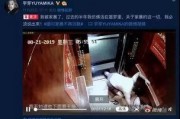 网友爆料家暴视频大全集,网友爆料视频大全集深度解析